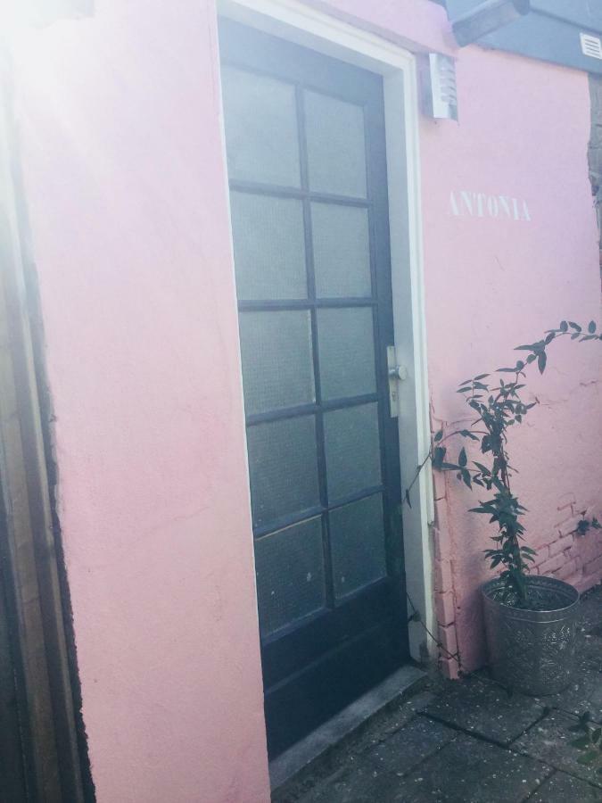 Antonia Beach House Гаага Екстер'єр фото